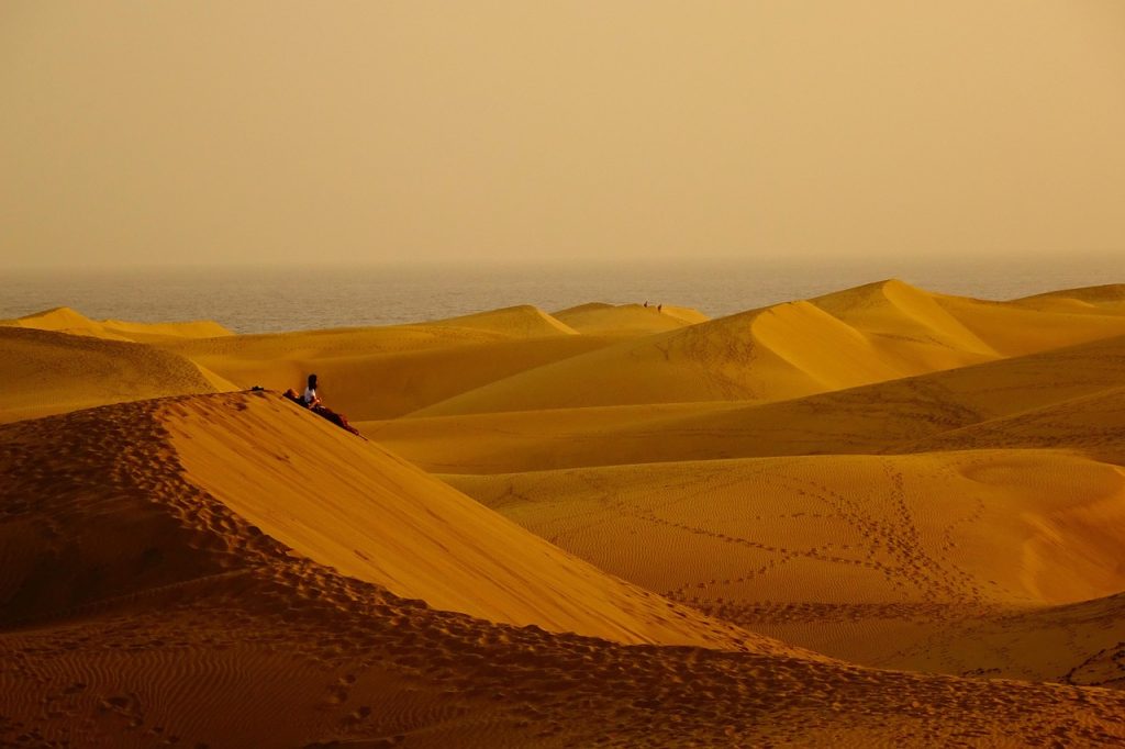 desert, sand dunes, sunset, landscape, nature, dusk