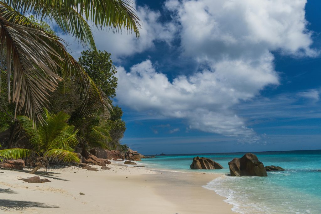 Tropical paradise beach with palm trees and granite rocks in Seychelles under a blue sky.