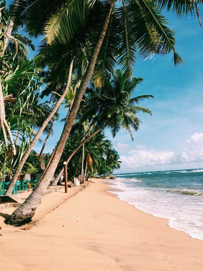 Idyllic tropical beach scene with palm trees and turquoise waters under a clear blue sky.