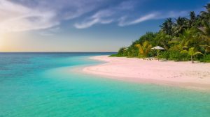 beach, paradise, island, palm trees, ocean, nature, romantic, sunset, seascape, sea, summer, bathing, holiday, sandy beach, vacations
